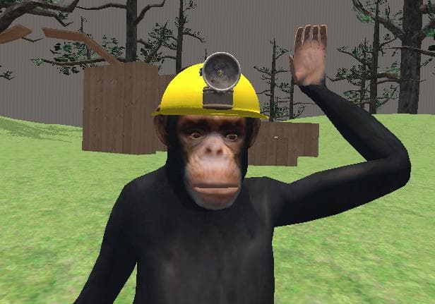 Chump Chimps