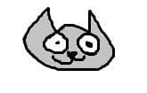 Attention to meow bucks