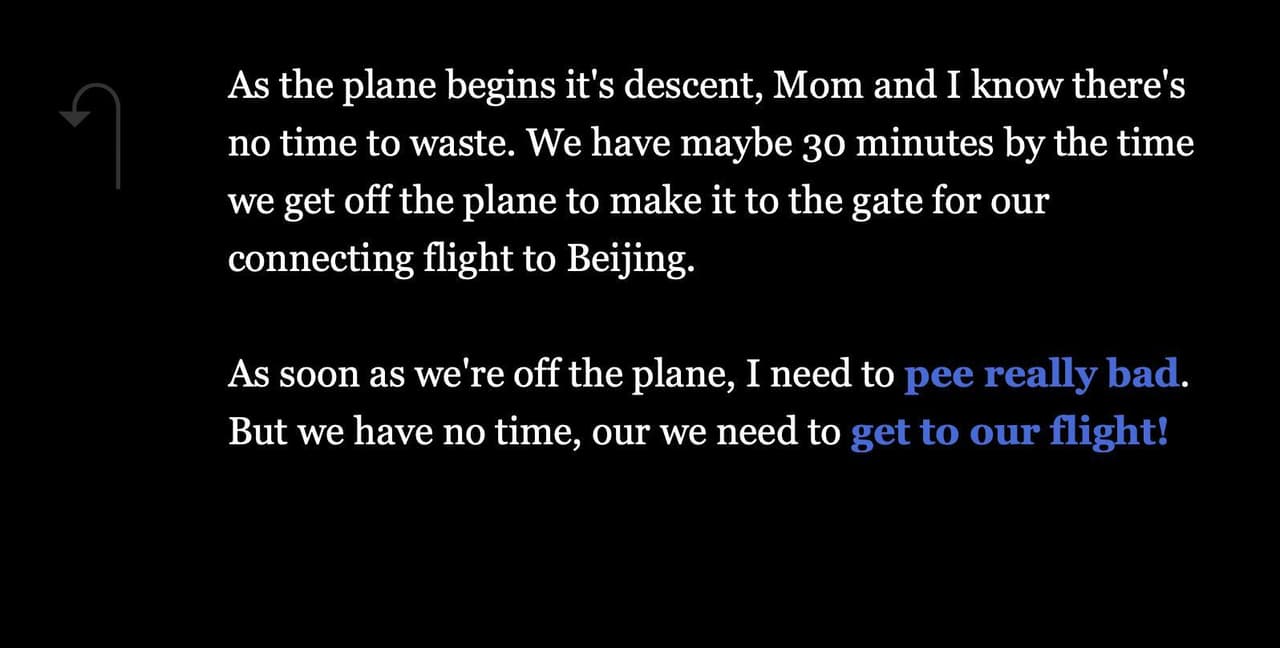 Business Class: A Travel Misadventure screenshot 3