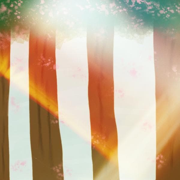 Forest_Visitor