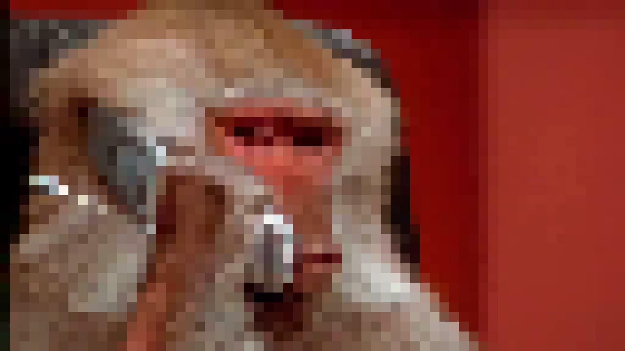 Puzzletron