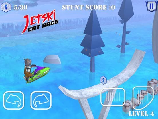 Jet Ski Cat Race screenshot 5