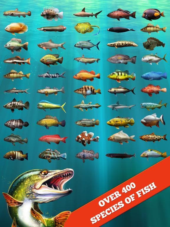 Lets Fish:Sport Fishing Games screenshot 4