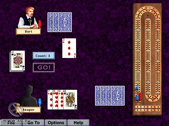 Hoyle Card Games screenshot 6