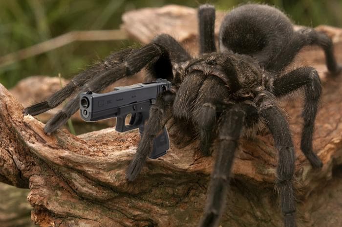The Attack of the mutant spiders