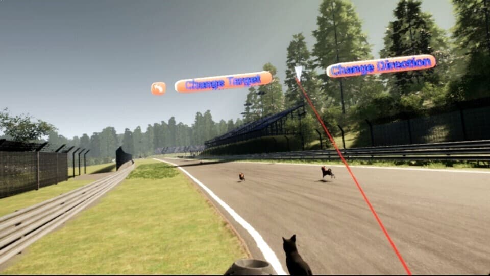 VR Dog Sprint screenshot 6