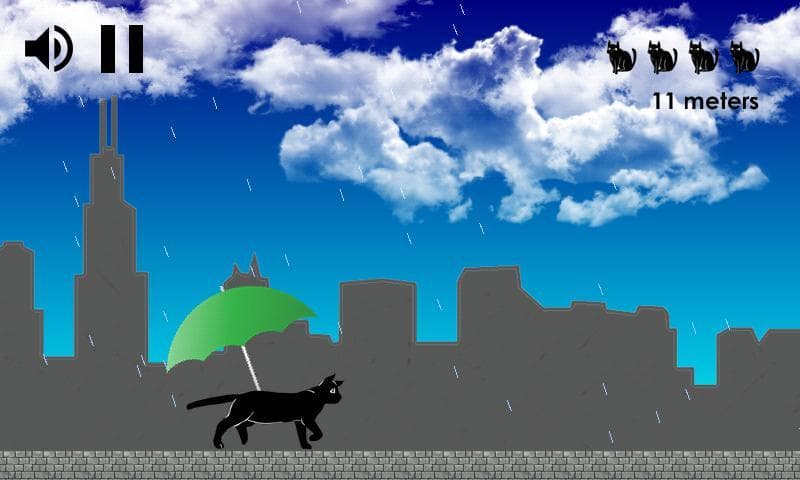 Cat in the rain