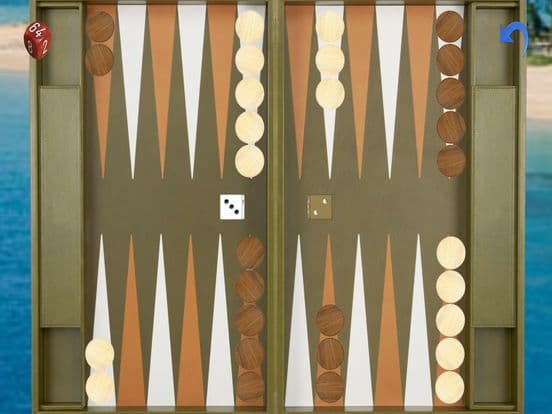 Advanced Backgammon