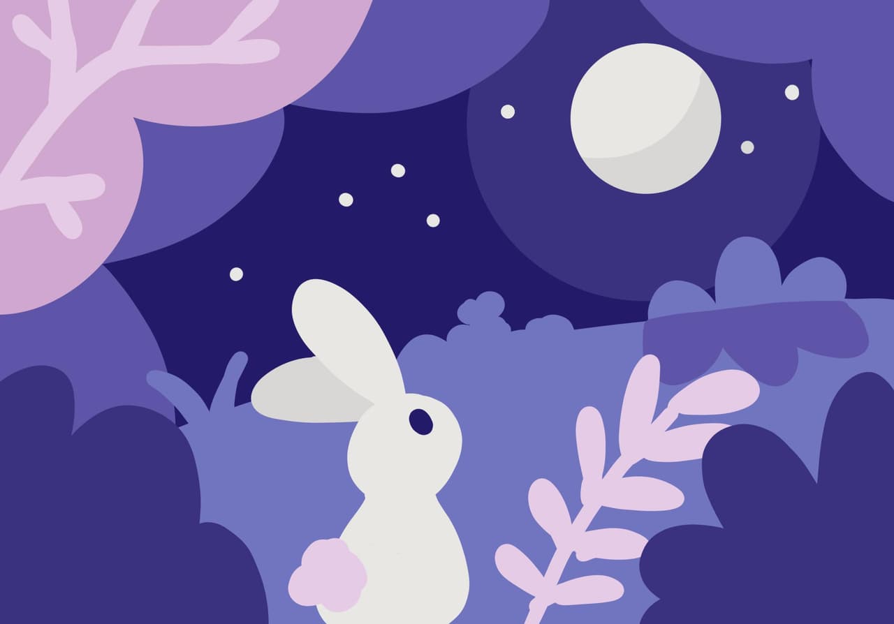 Wish Upon The Moon screenshot 2
