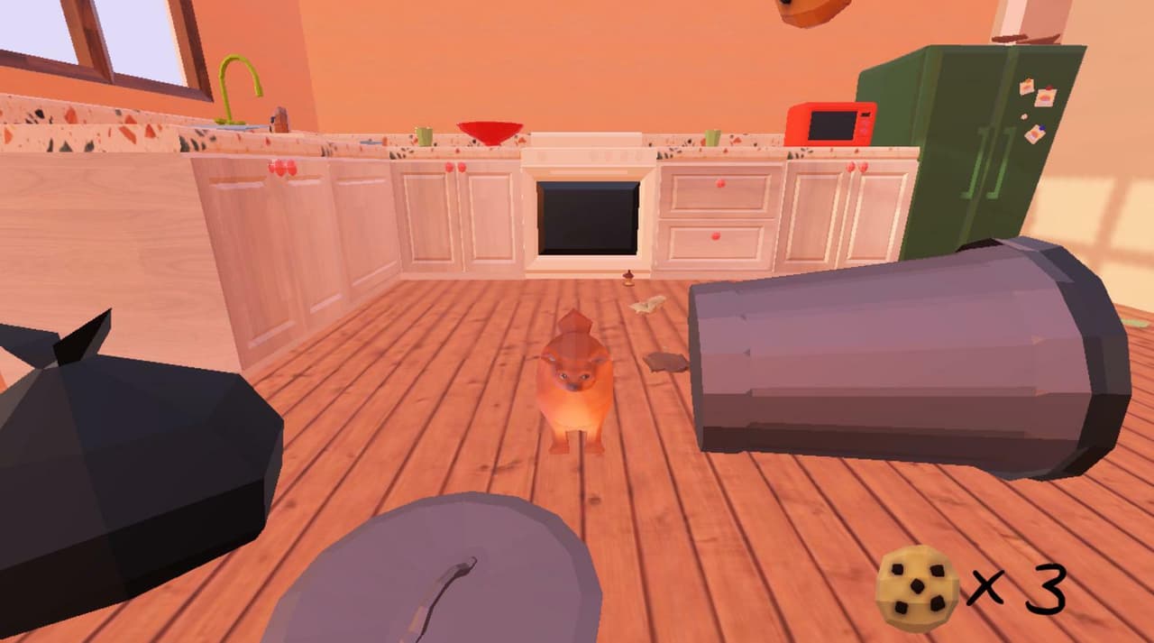 Pomeranian Activity