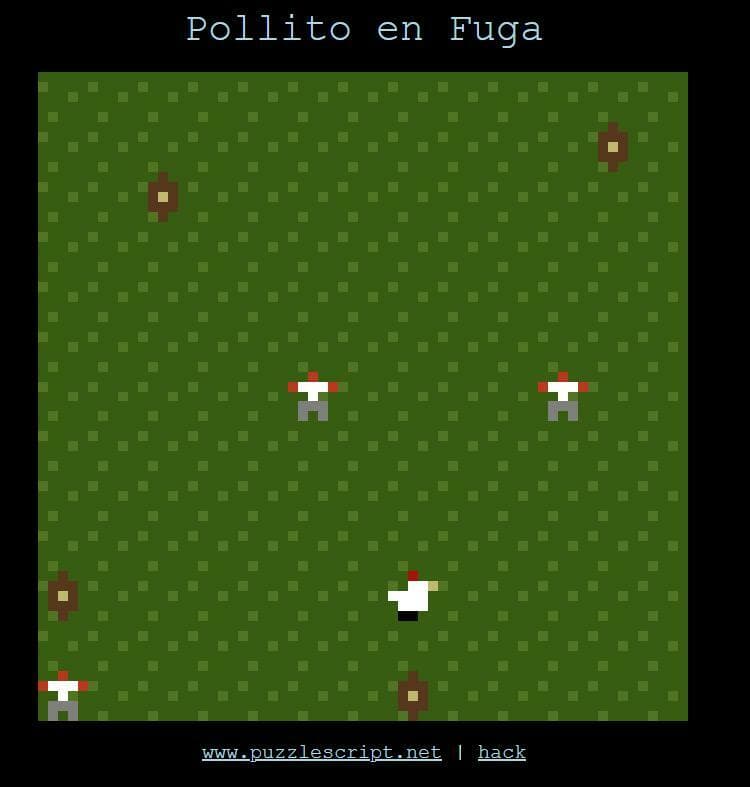 Pollito en fuga