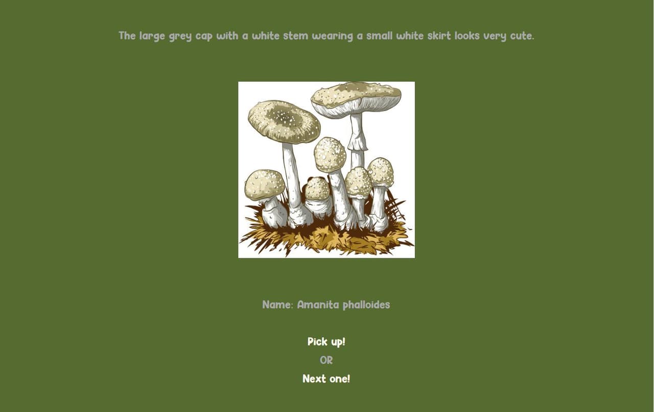 Lets pick mushrooms! screenshot 4