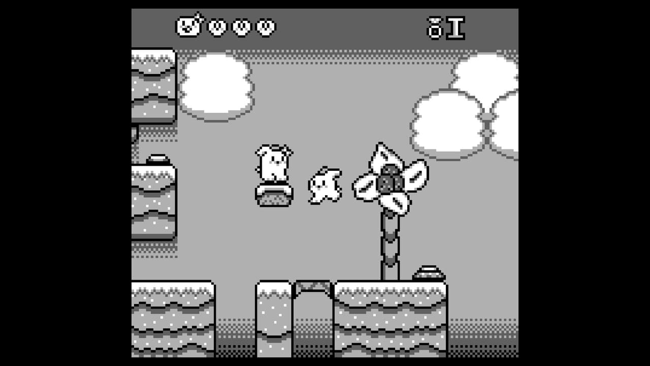 Beau & Bow screenshot 4