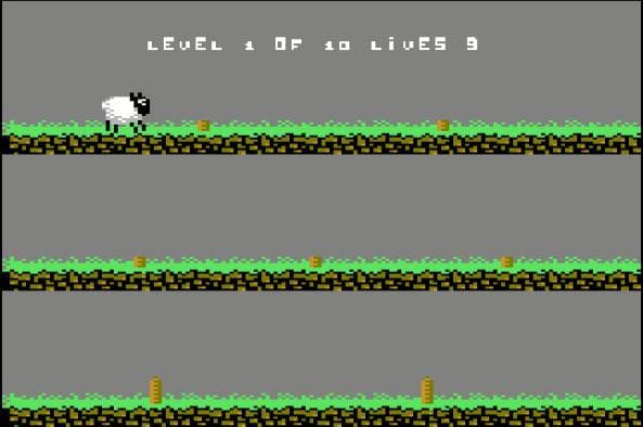 Sheep is a key