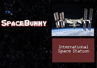 SpaceBunny (alanjpan) screenshot 2