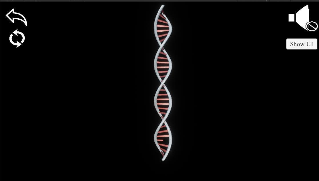 Protein Synthesis