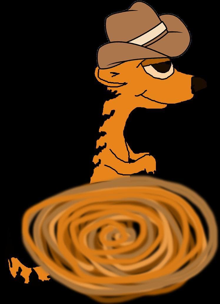 Meerkat Cowboy