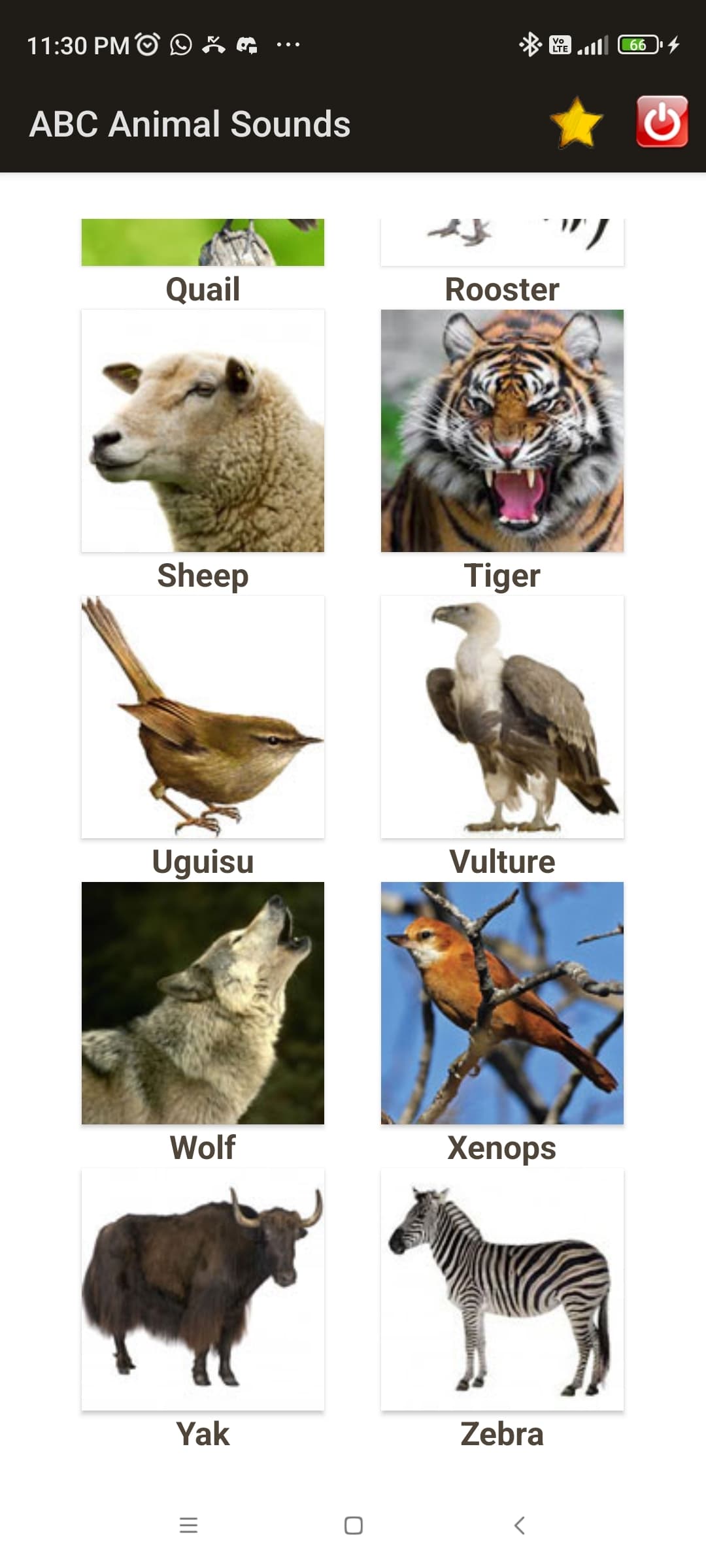 ABC Animal Sounds screenshot 5