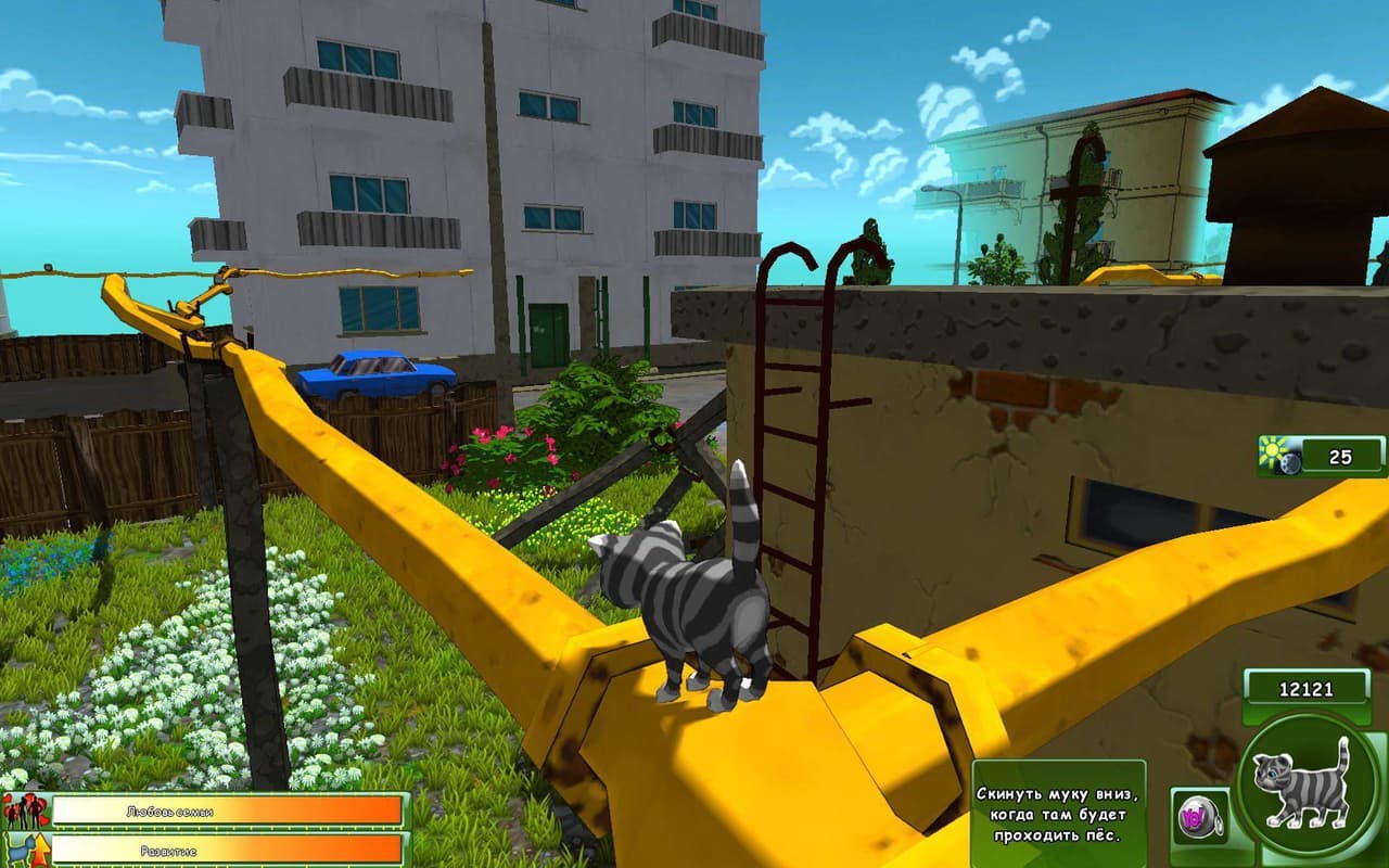 Kitty Play