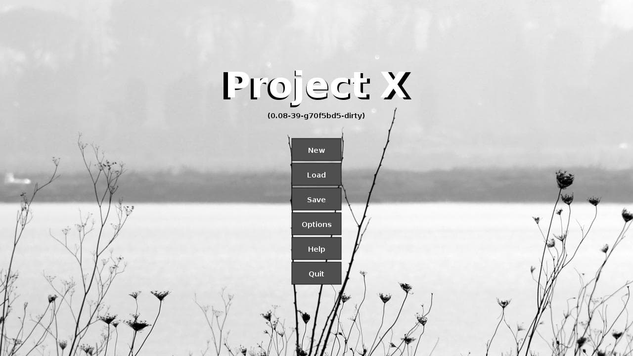 ProjectX screenshot 5