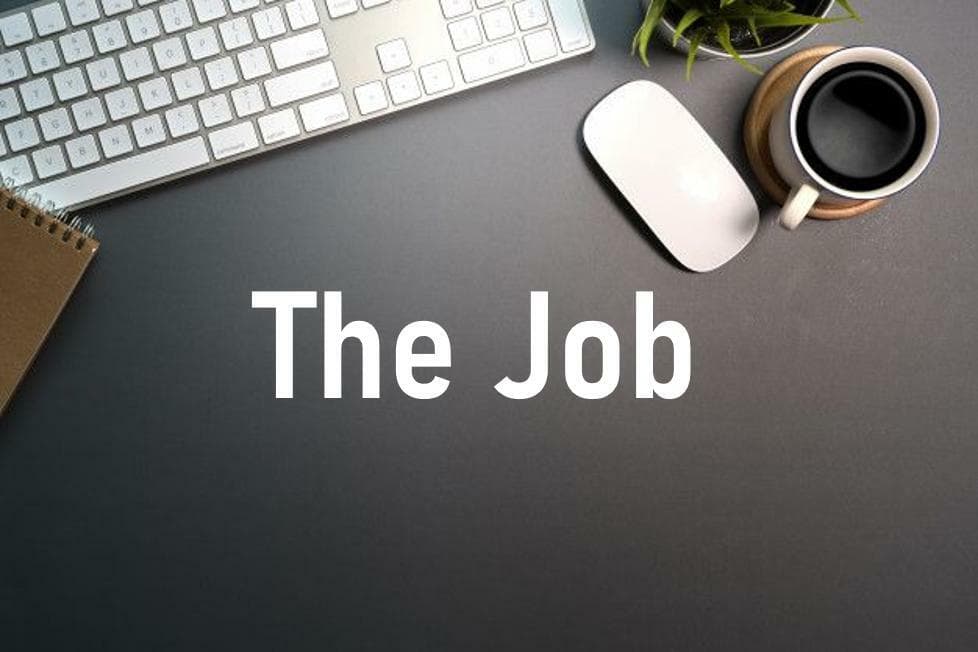 Do you get The Job?