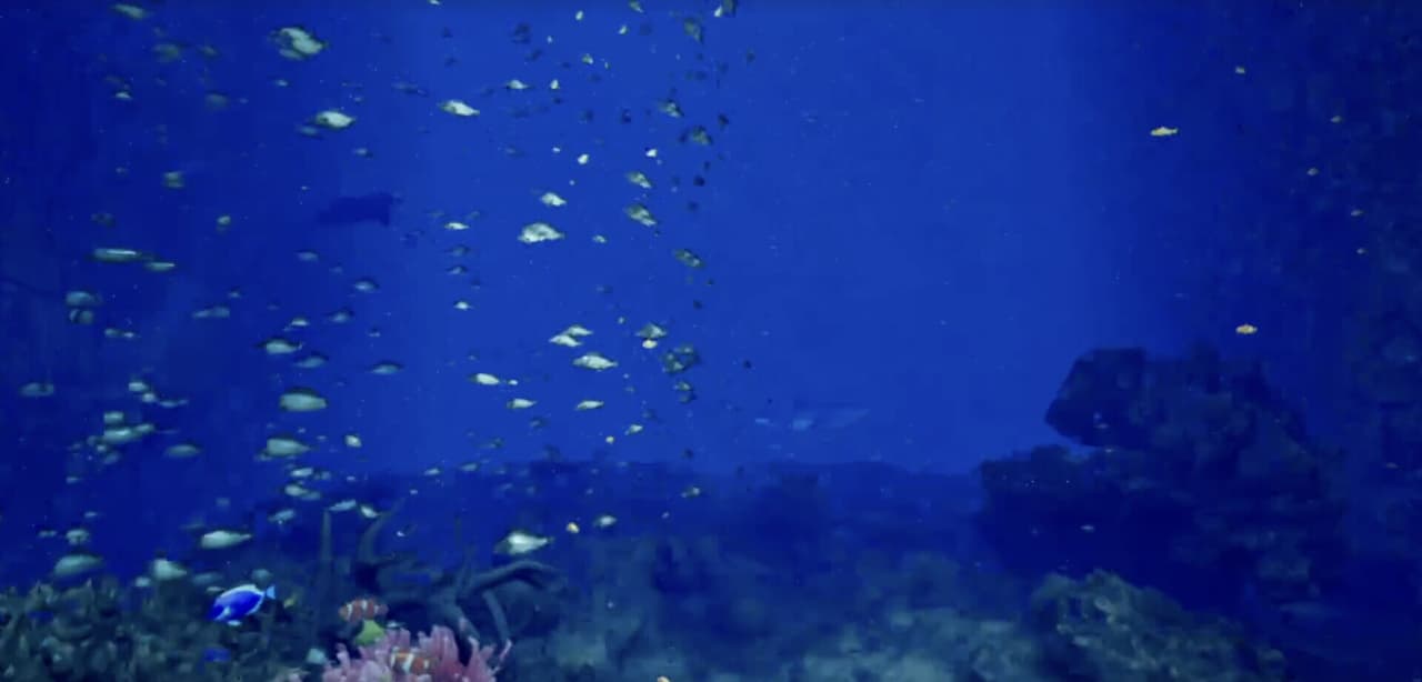 Aquarium at August 32nd VR screenshot 5