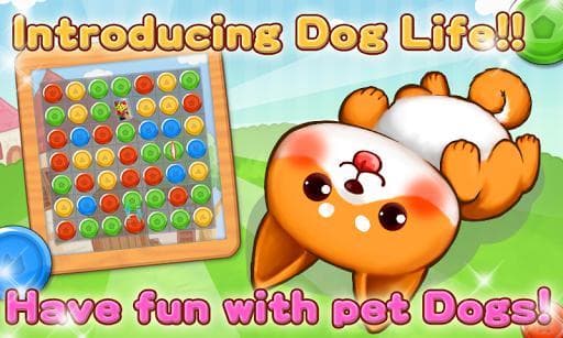 Cute Dogs Life screenshot 2