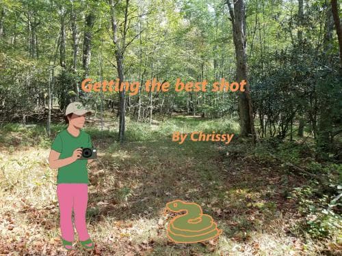 Getting the best shot