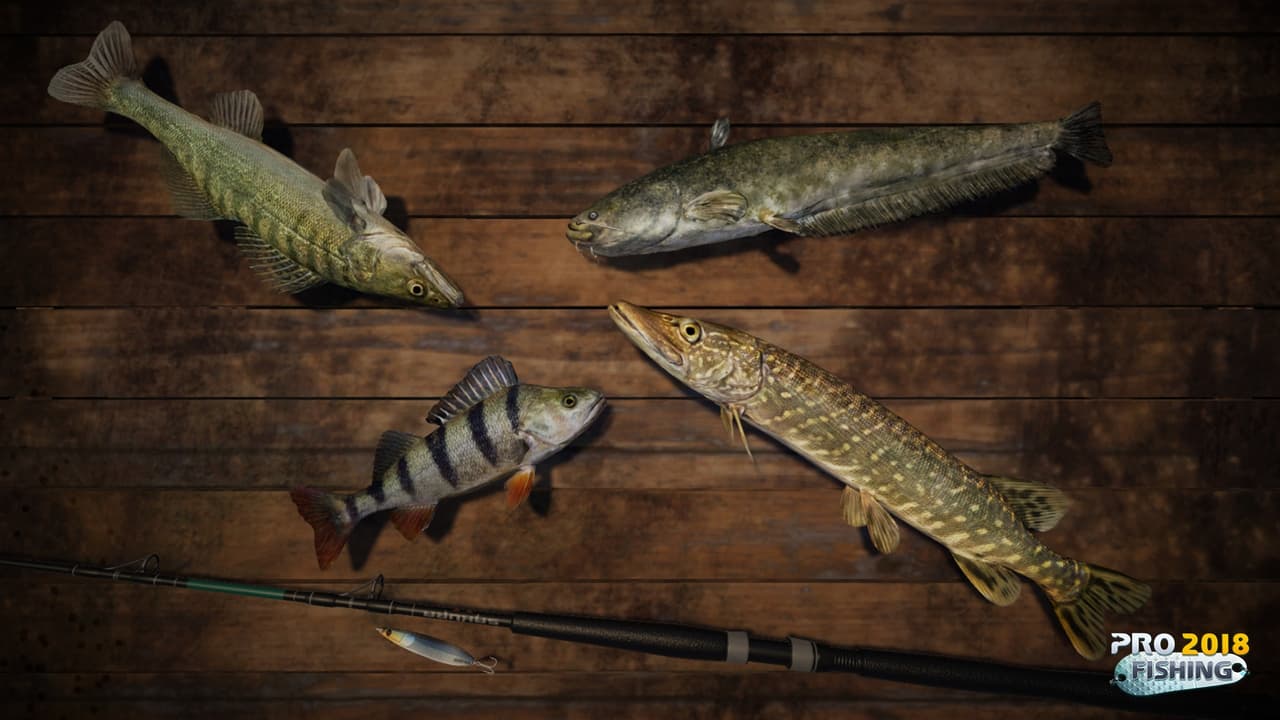 PRO FISHING 2018 screenshot 3