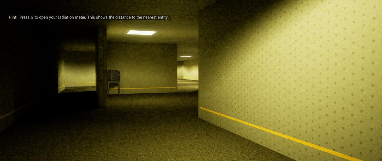 snaipdefixs Backrooms: The game screenshot 2