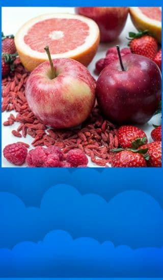 QUIZINATOR BRAIN SCRAMBLER 🧠 screenshot 6