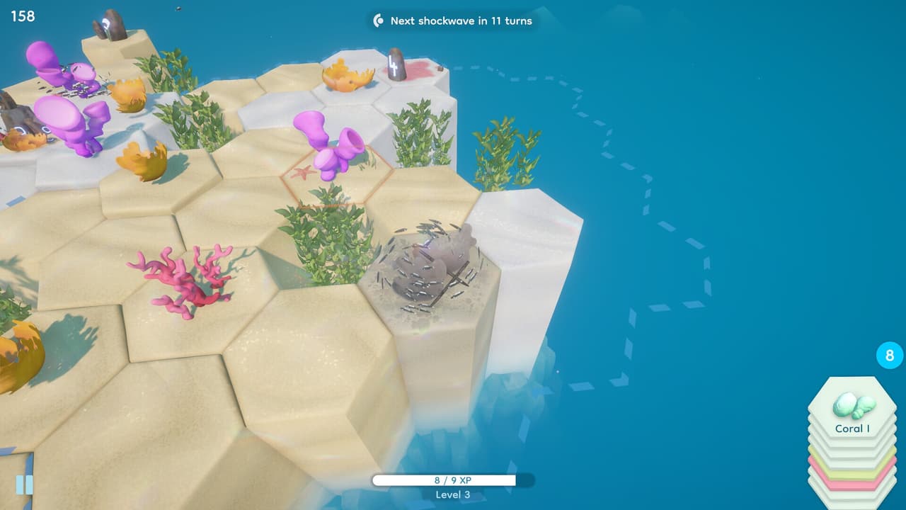 Coral Cove