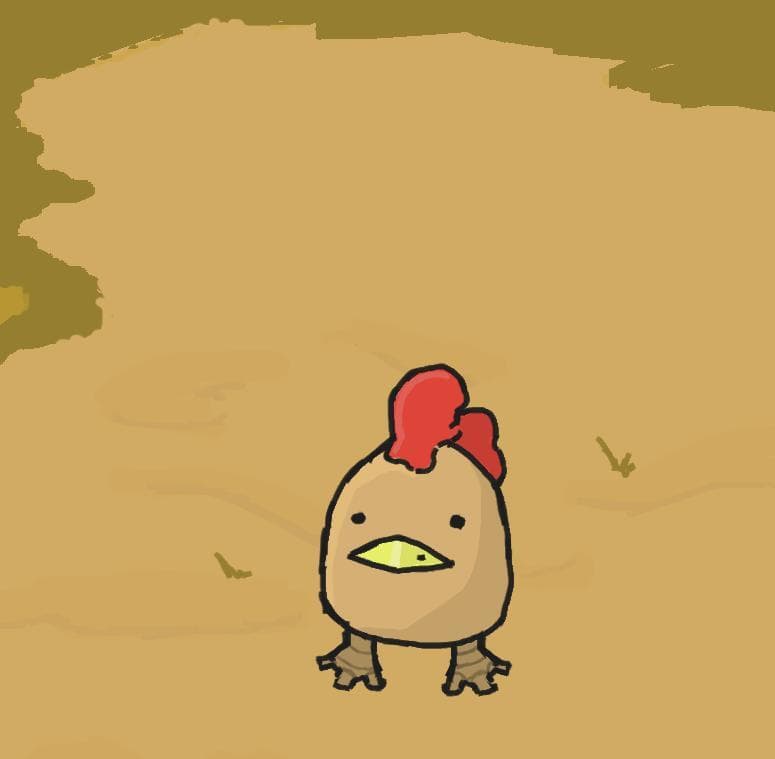 Dont Touch The Chickens