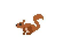 Jumpy Squirrel