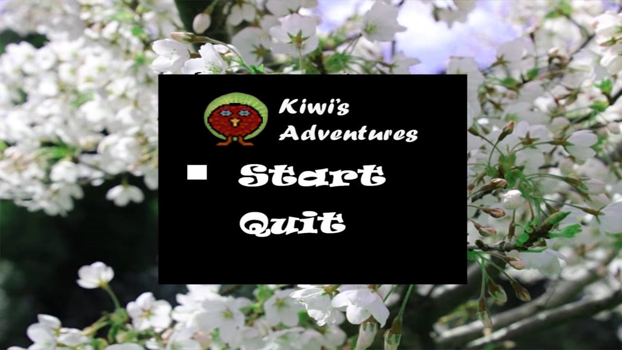 Kiwis adventures