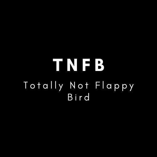Totally Not Flappy Bird