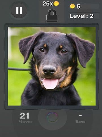 Pet Sliding Puzzle