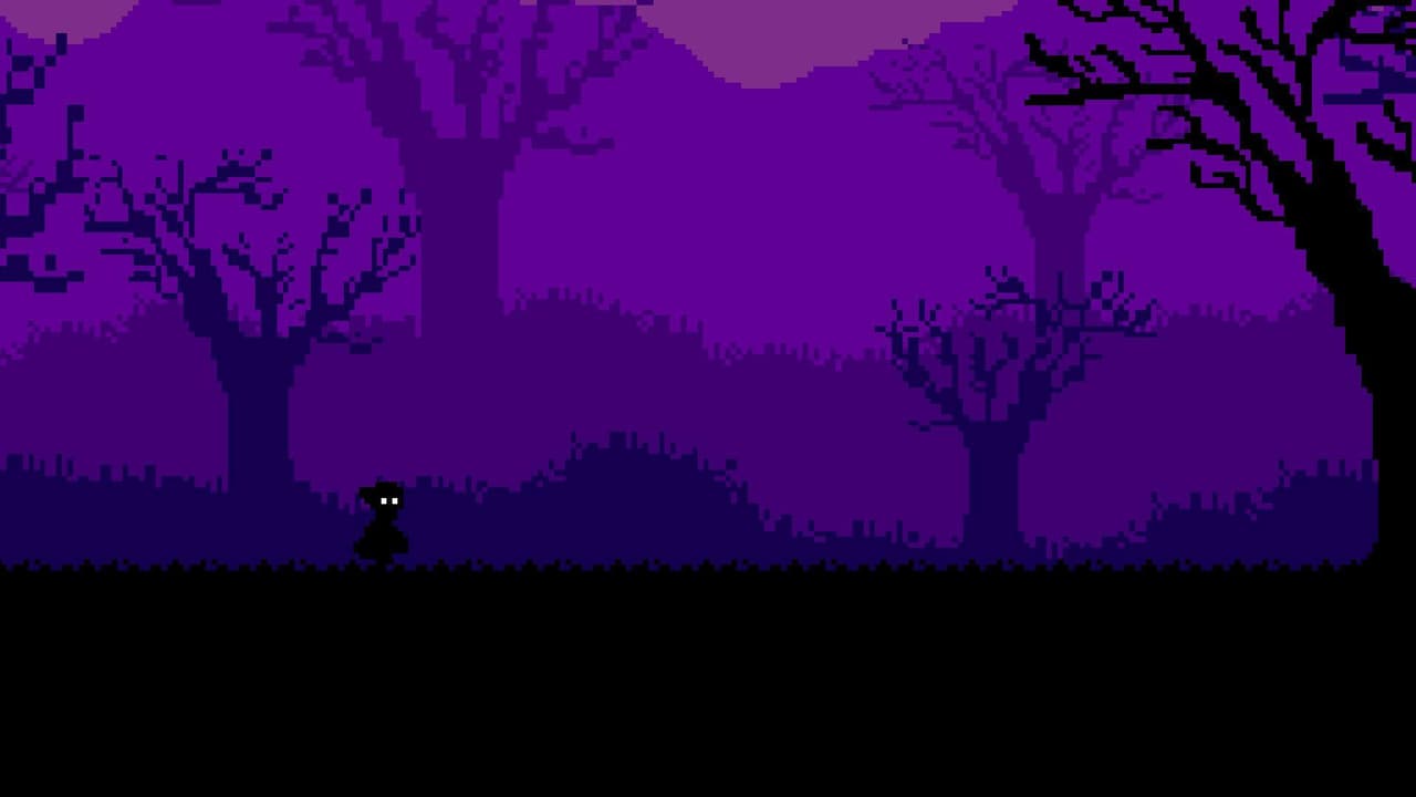 The Witches Forest
