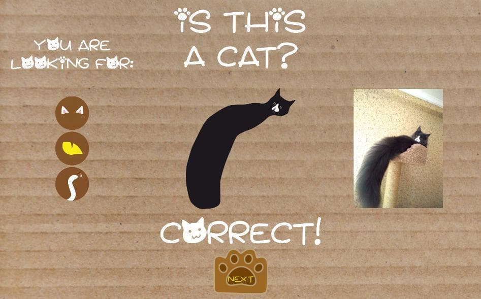 Is this a cat?