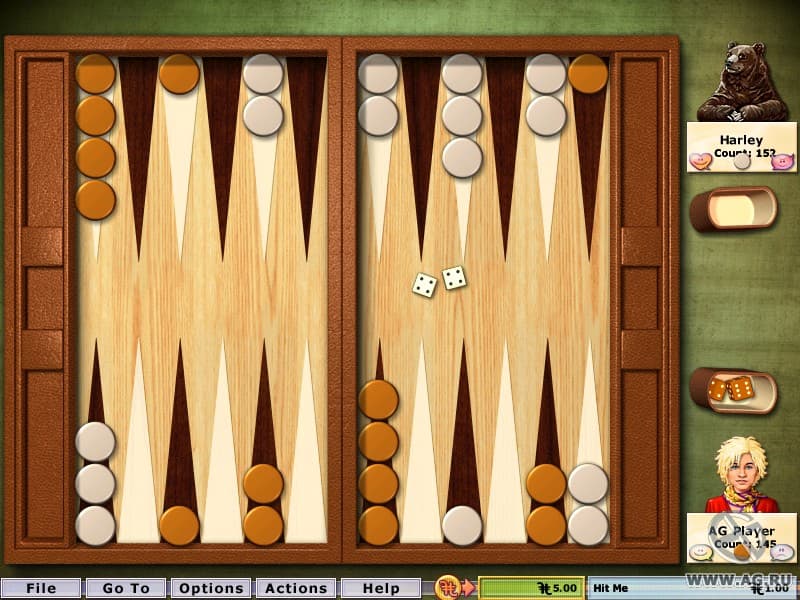 Hoyle Puzzle & Board Games (2009) screenshot 3