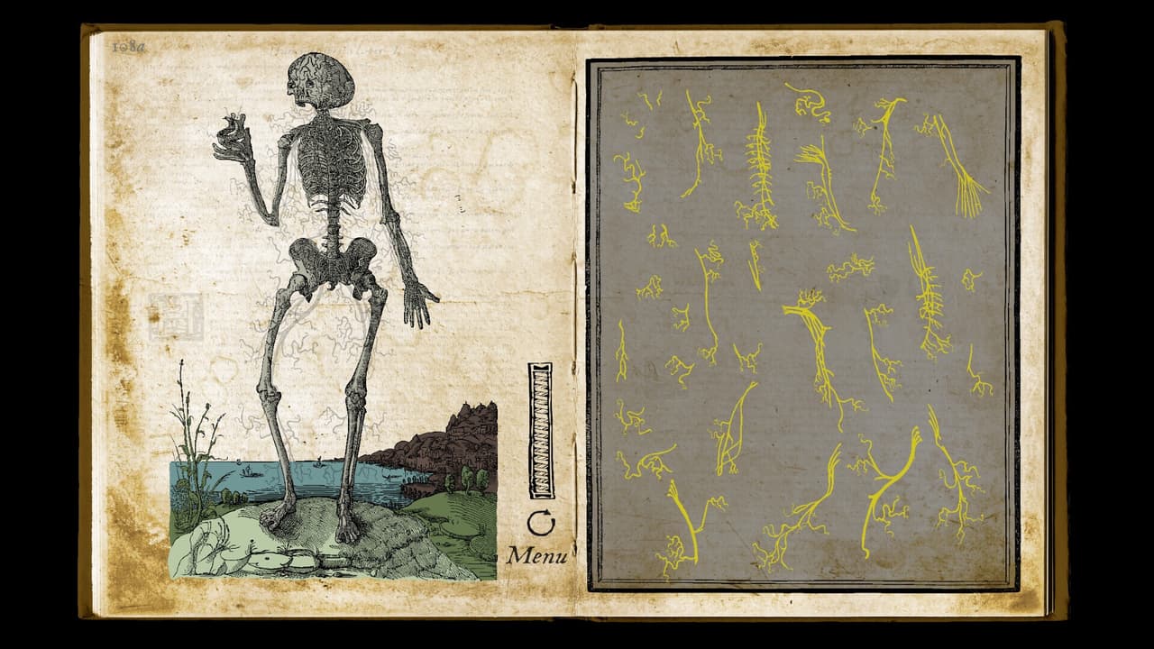 Wound Man screenshot 6