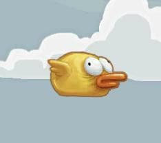 Sky&Bird