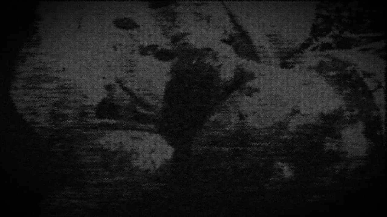Sequence (itch) (Selfish Dream)
