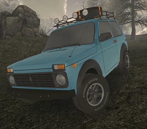 Forest Roads. Niva
