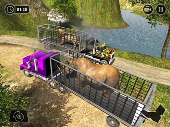 Animal Transport Truck 2018