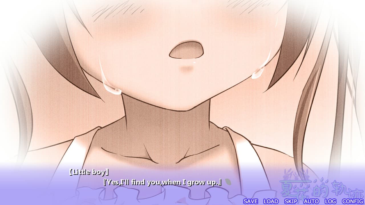 夏花的轨迹——A summer promise to forever screenshot 2