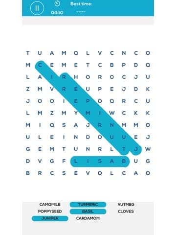 Word Search: A fun word game