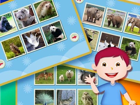 Picture Jigsaw Puzzle - Animal screenshot 3