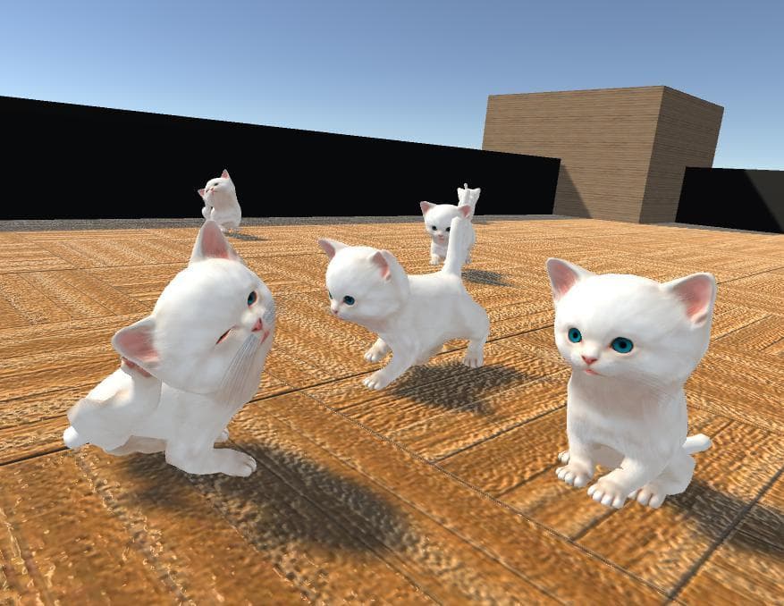 Cute Cuddly Kittens