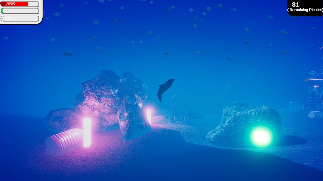 The PET Dolphin